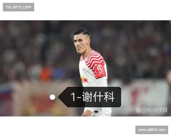 曼联与莱比锡达成协议 谢什科转会即将完成 曼联与莱比锡达成协议 谢什科转会即将完成